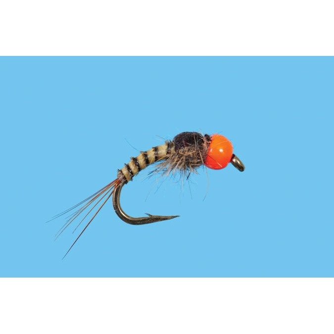 Tungsten Sunkist - Flies - Fly Fish Food