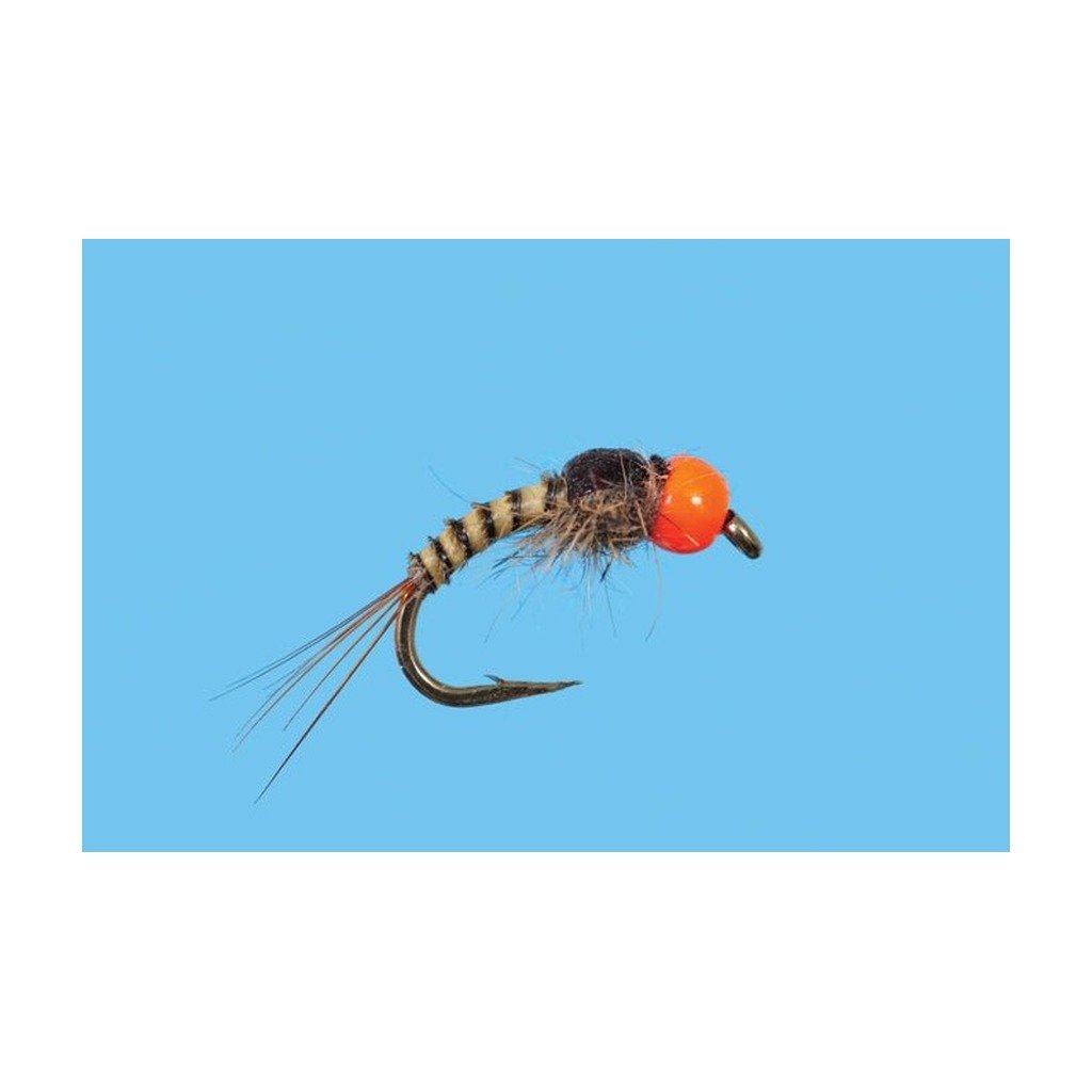 Tungsten Sunkist - Flies - Fly Fish Food