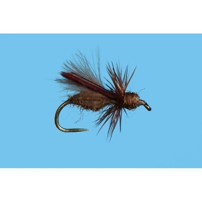 Harrop's CDC Water Wasp - Honey - Flies - Fly Fish Food