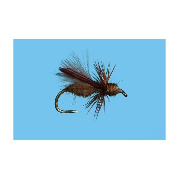 Harrop's CDC Water Wasp - Honey - Flies - Fly Fish Food
