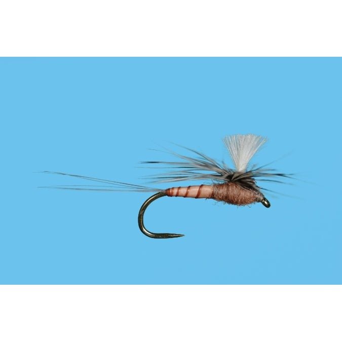 Harrop's CDC Parachute Spinner - Pink Albert - Flies - Fly Fish Food