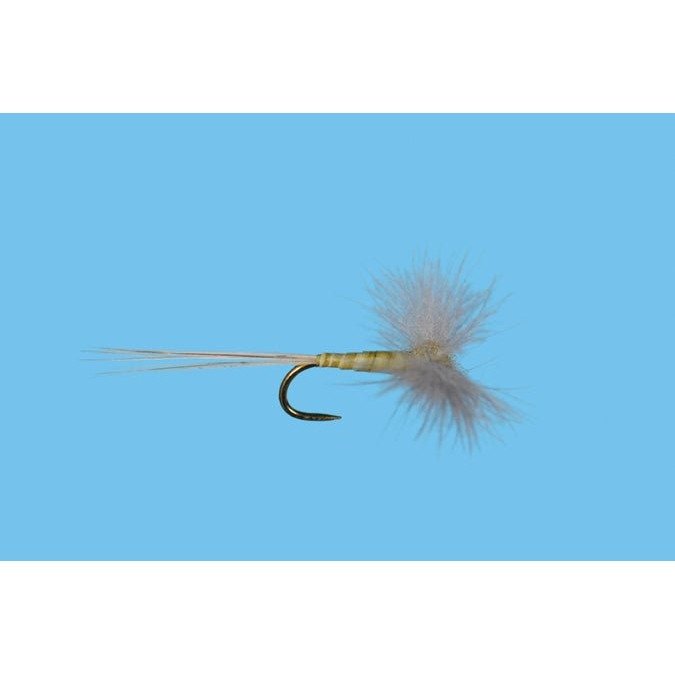 CDC Biot Spinner - PMD - Flies - Fly Fish Food