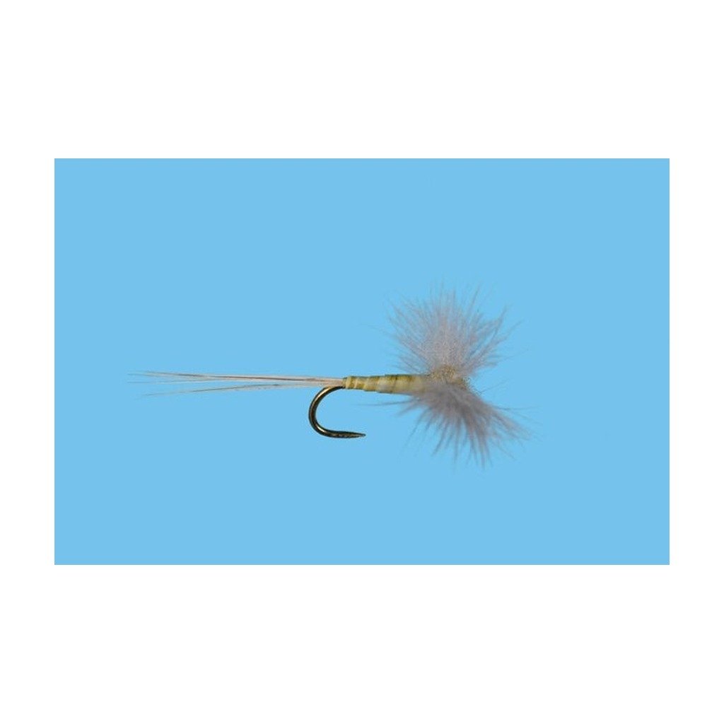 CDC Biot Spinner - PMD - Flies - Fly Fish Food