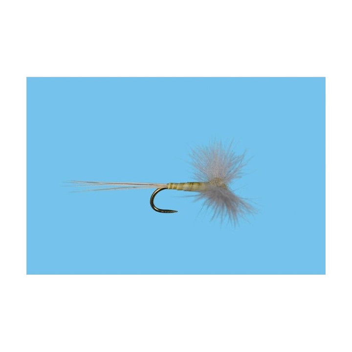 CDC Biot Spinner - PMD - Flies - Fly Fish Food