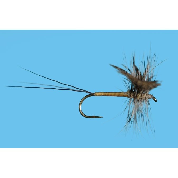 Harrop's Gray Drake Hackled Spinner - Flies - Fly Fish Food