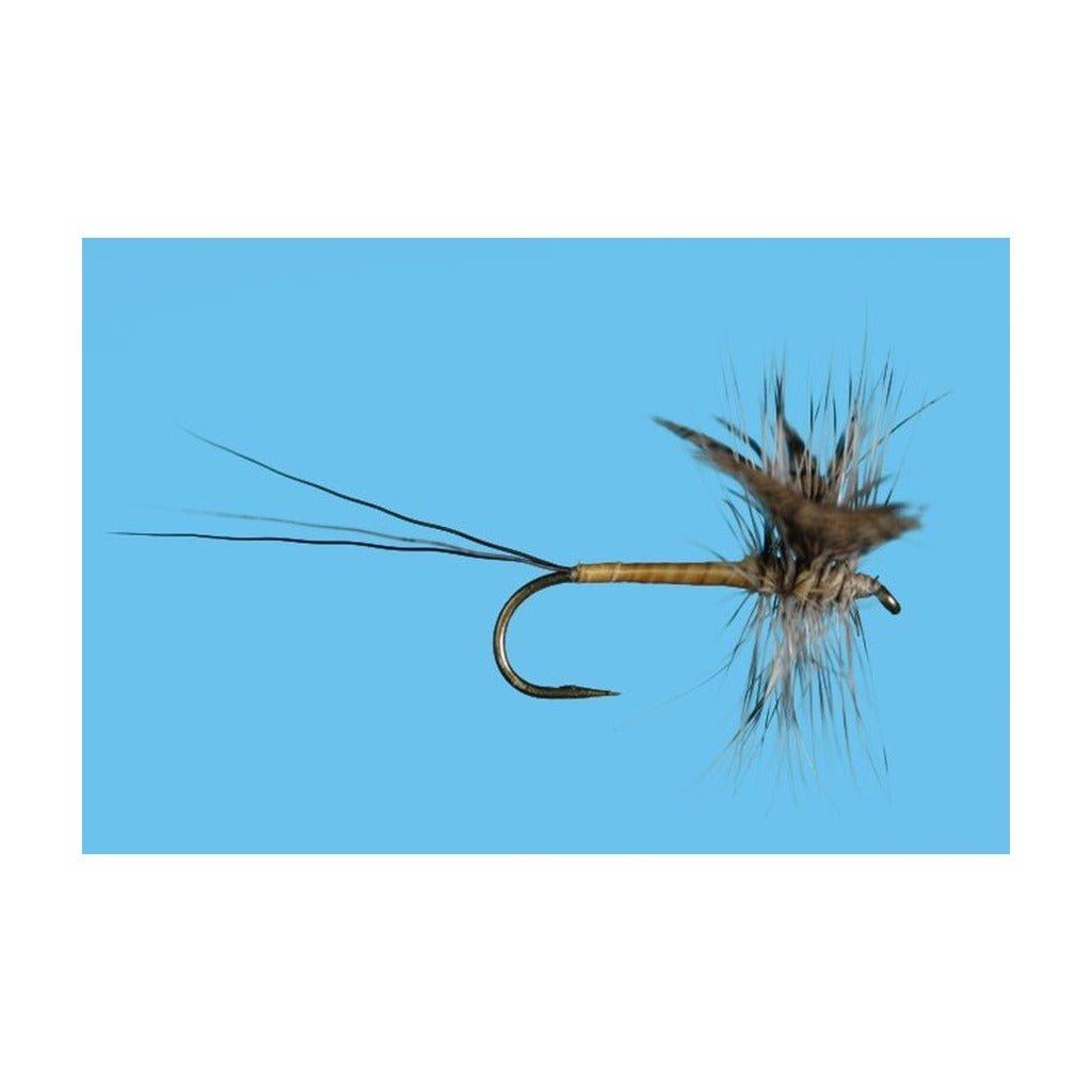 Harrop's Gray Drake Hackled Spinner - Flies - Fly Fish Food