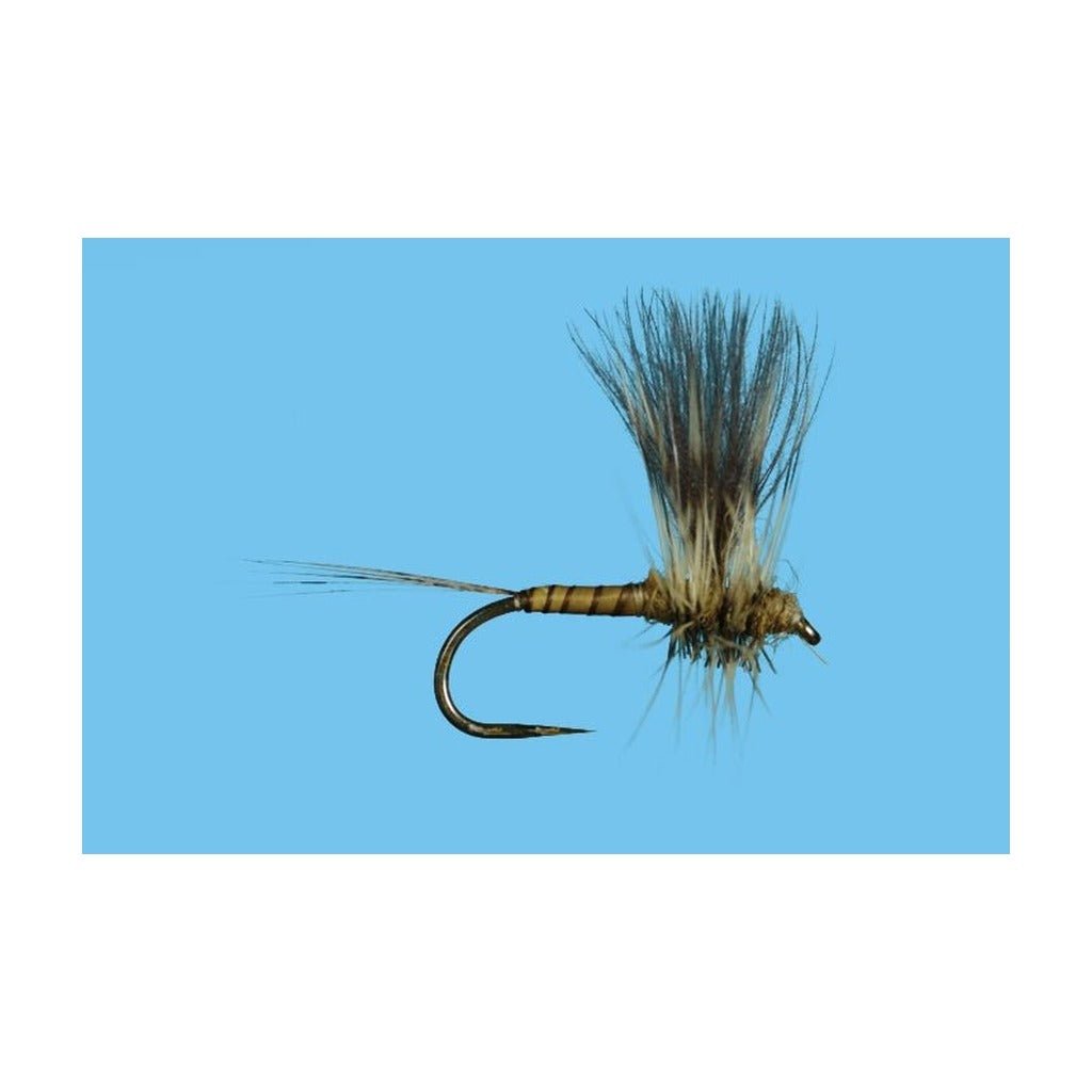 Harrop's CDC Thorax - Green Drake - Flies - Fly Fish Food