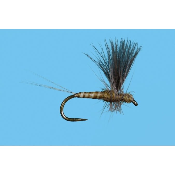 Harrop's CDC Thorax - Flavilinea - Flies - Fly Fish Food