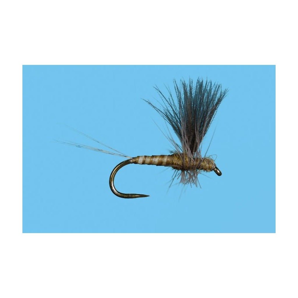 Harrop's CDC Thorax - Flavilinea - Flies - Fly Fish Food