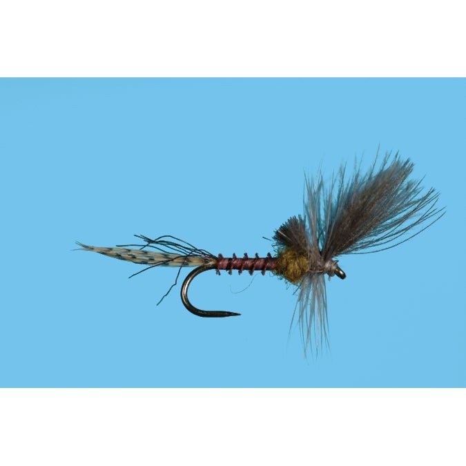 Harrop's Last Chance Cripple - Flavilinea - Flies - Fly Fish Food