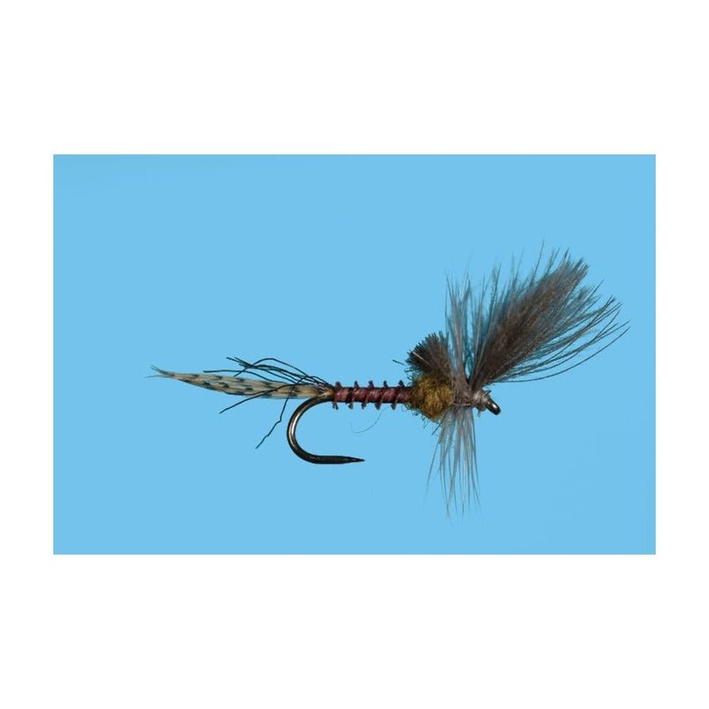 Harrop's Last Chance Cripple - Flavilinea - Flies - Fly Fish Food
