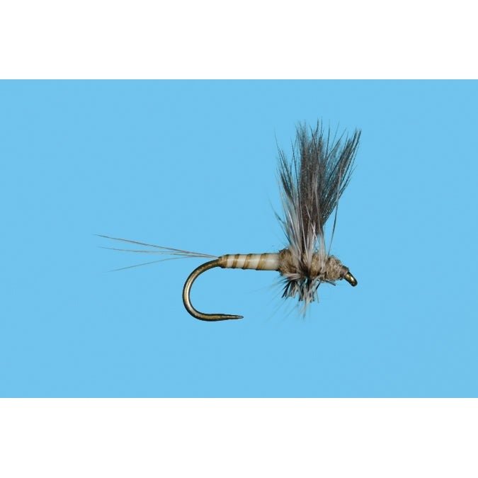 Harrop's CDC Thorax - Callibaetis - Flies - Fly Fish Food