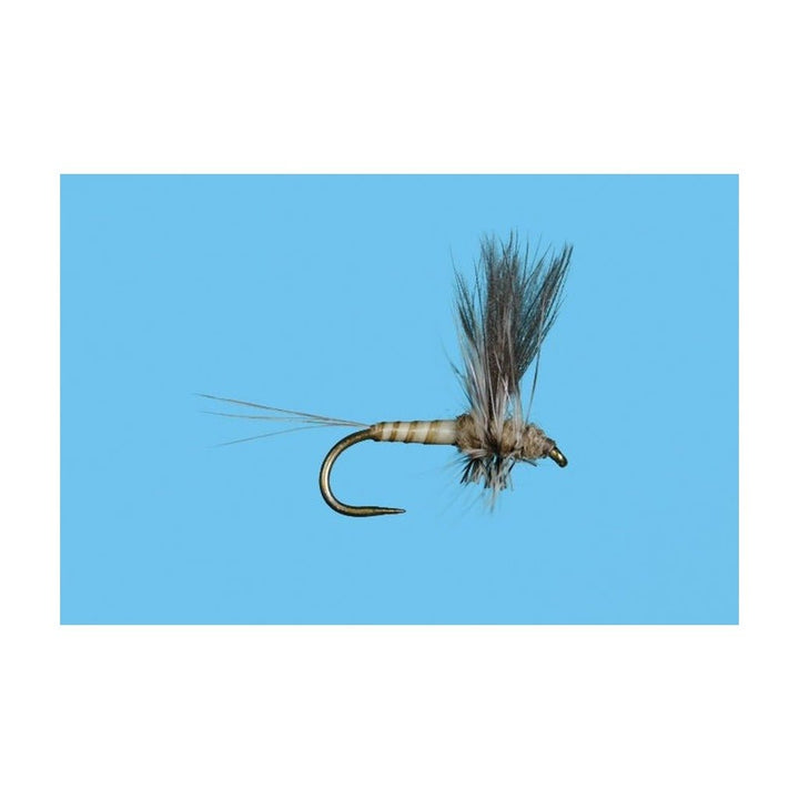 Harrop's CDC Thorax - Callibaetis - Flies - Fly Fish Food
