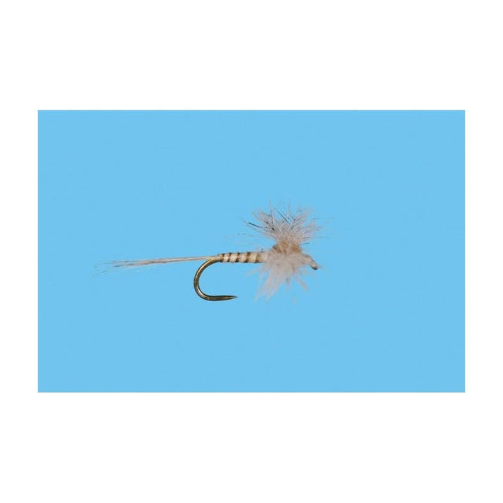CDC Biot Callibaetis Spinner - Flies - Fly Fish Food