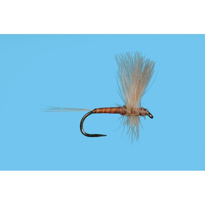 Harrop's CDC Thorax - Pink Albert - Flies - Fly Fish Food