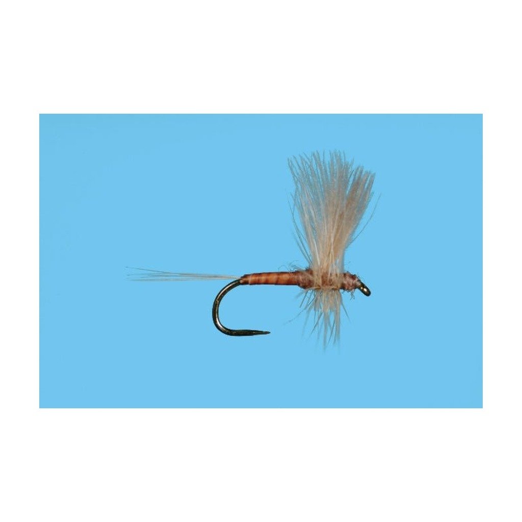 Harrop's CDC Thorax - Pink Albert - Flies - Fly Fish Food