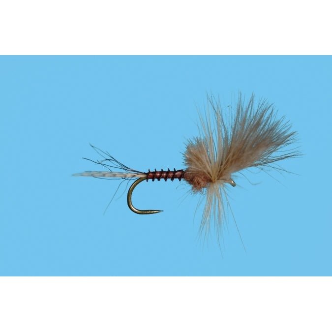 Harrop's Last Chance Cripple - Pink Albert - Flies - Fly Fish Food