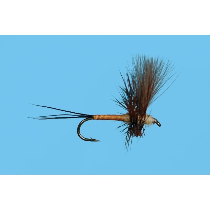 Harrop's CDC Thorax - Brown Drake - Flies - Fly Fish Food