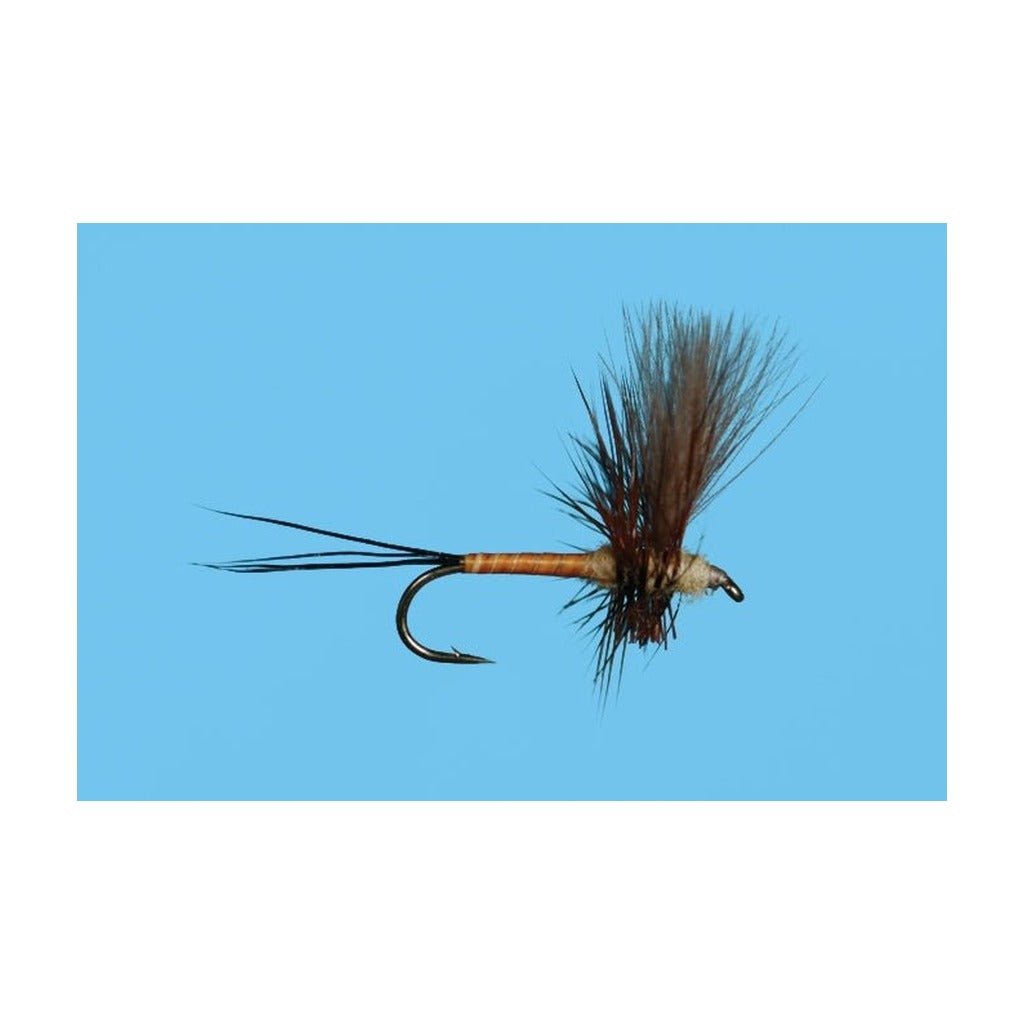 Harrop's CDC Thorax - Brown Drake - Flies - Fly Fish Food