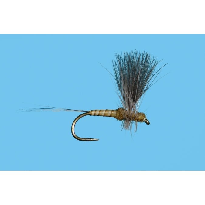 Harrop's CDC Thorax - BWO - Flies - Fly Fish Food