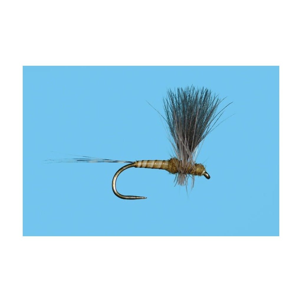Harrop's CDC Thorax - BWO - Flies - Fly Fish Food
