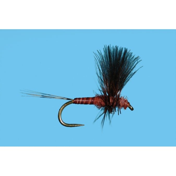 Harrop's CDC Thorax - Mahogany - Flies - Fly Fish Food