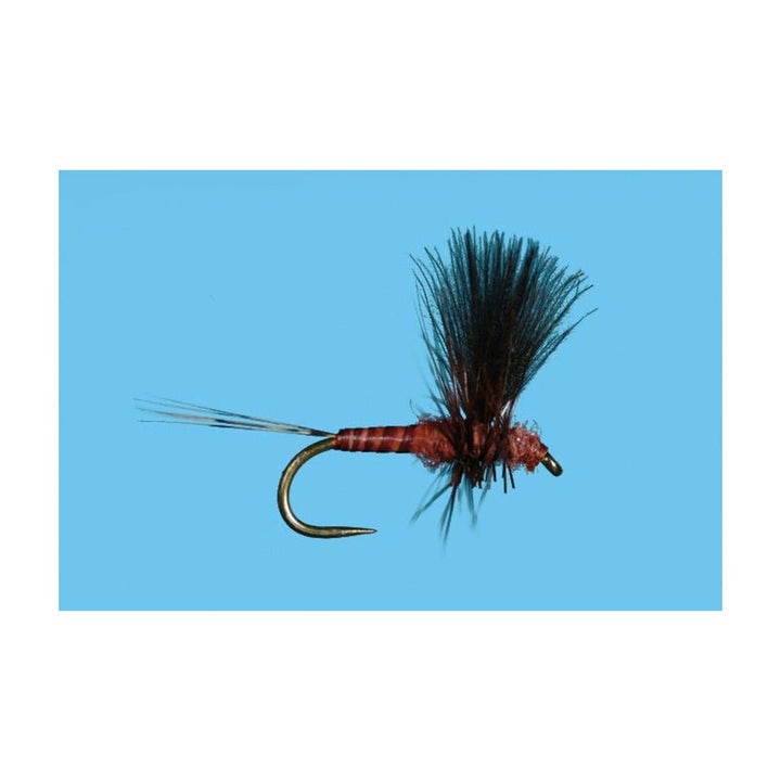 Harrop's CDC Thorax - Mahogany - Flies - Fly Fish Food