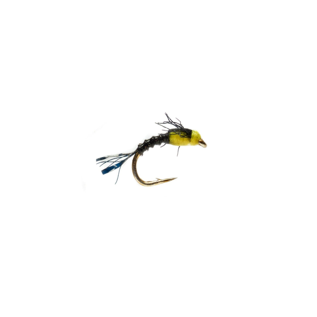 Boroff's Hot Belly Baetis - Black - Flies - Fly Fish Food