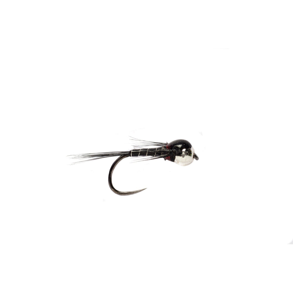 Tech Junkie Perdigon - French - Flies - Fly Fish Food
