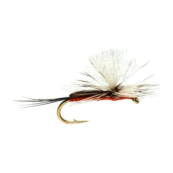 Burkus' South Fork Para Humpy - Orange - Flies - Fly Fish Food