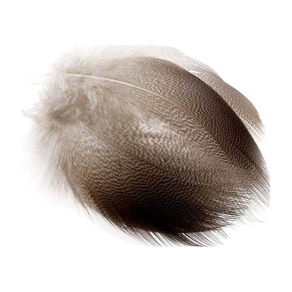 Bronze Mallard Flank - Feathers & Marabou - Fly Fish Food