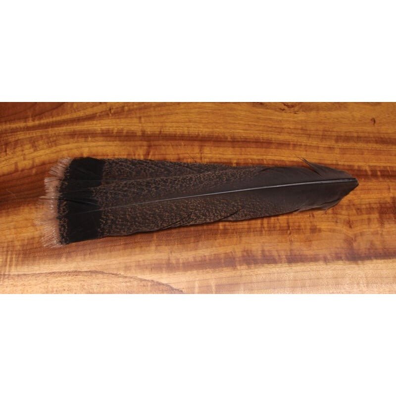 Cinnamon Tip Turkey Tail Feathers - Feathers & Marabou - Fly Fish Food