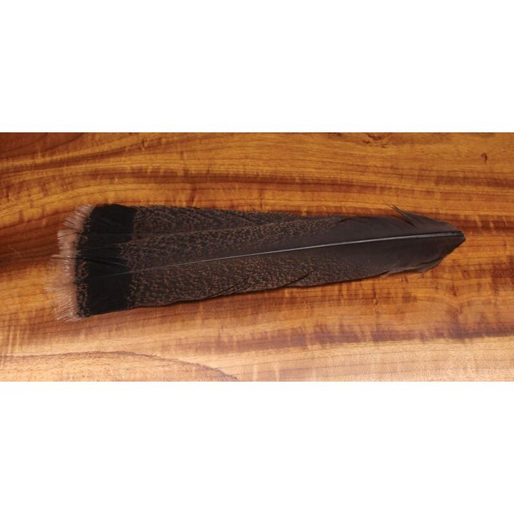 Cinnamon Tip Turkey Tail Feathers - Feathers & Marabou - Fly Fish Food