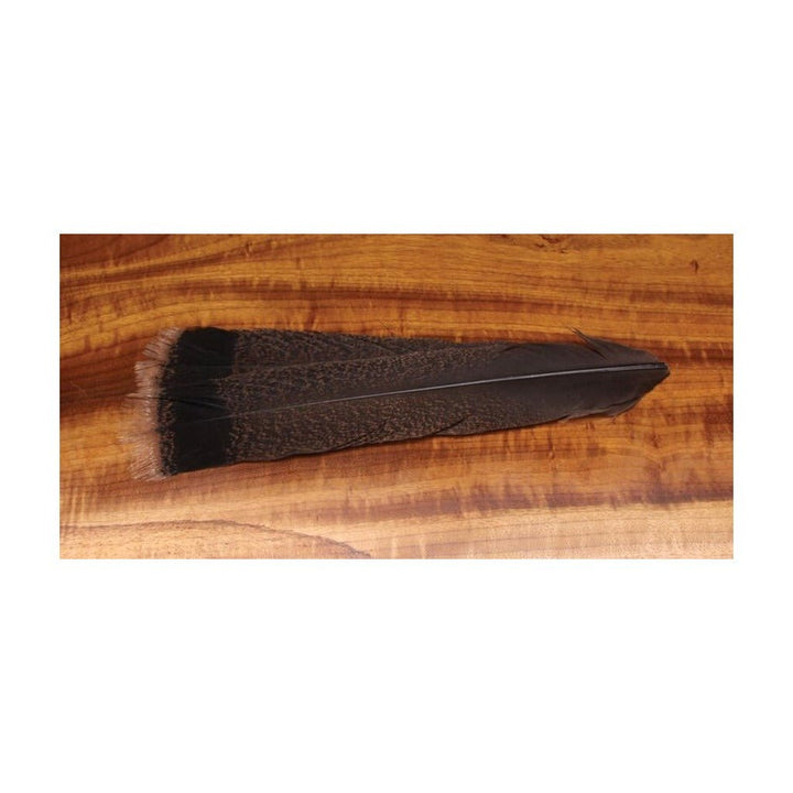 Cinnamon Tip Turkey Tail Feathers - Feathers & Marabou - Fly Fish Food