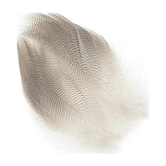 Mallard Barred Flank - Feathers & Marabou - Fly Fish Food