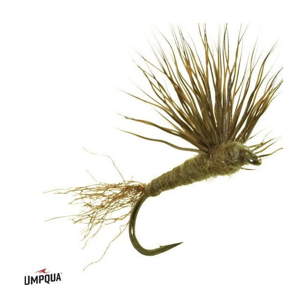Sparkle Dun - Callibaetis - Flies - Fly Fish Food