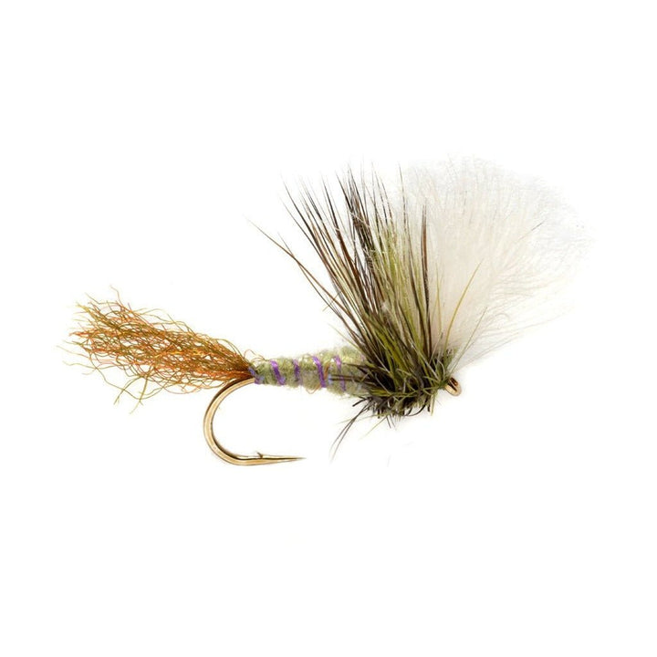 Keegan's Kripple - Flies - Fly Fish Food