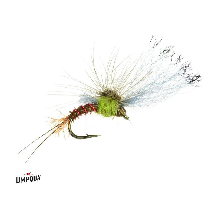 Film Critic Quigley - BWO - Flies - Fly Fish Food