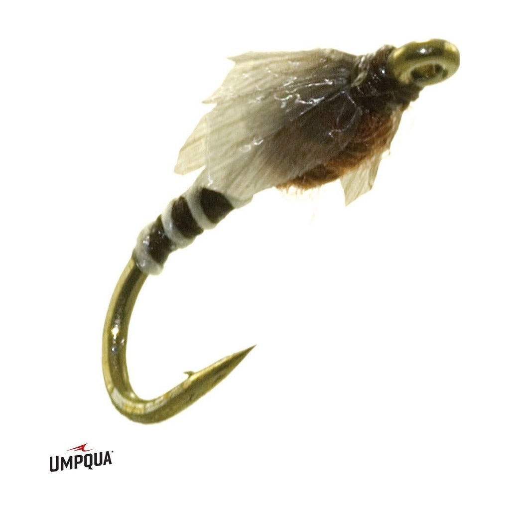Medallion Midge Pupa - Flies - Fly Fish Food