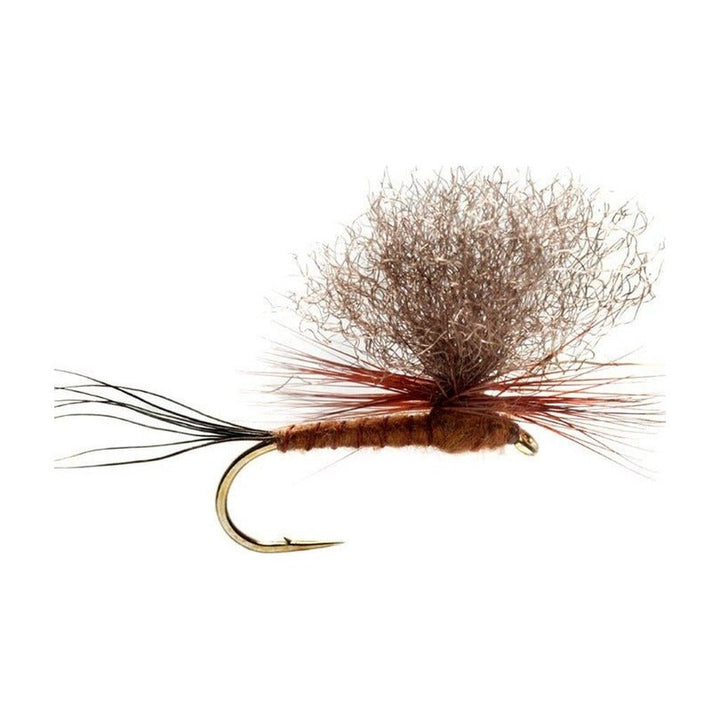 Burkus Brown Drake Dun - Flies - Fly Fish Food