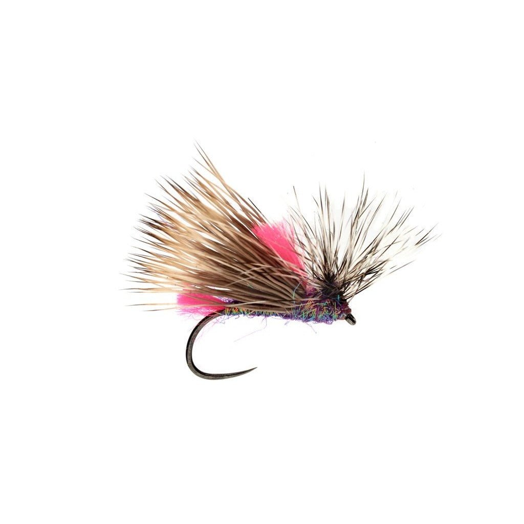 bulgarian world champion fly fishing lures Trout Assortment Box With over 20+ years of experience trout fishing all over the world Fly fishing guide in Bulgaria