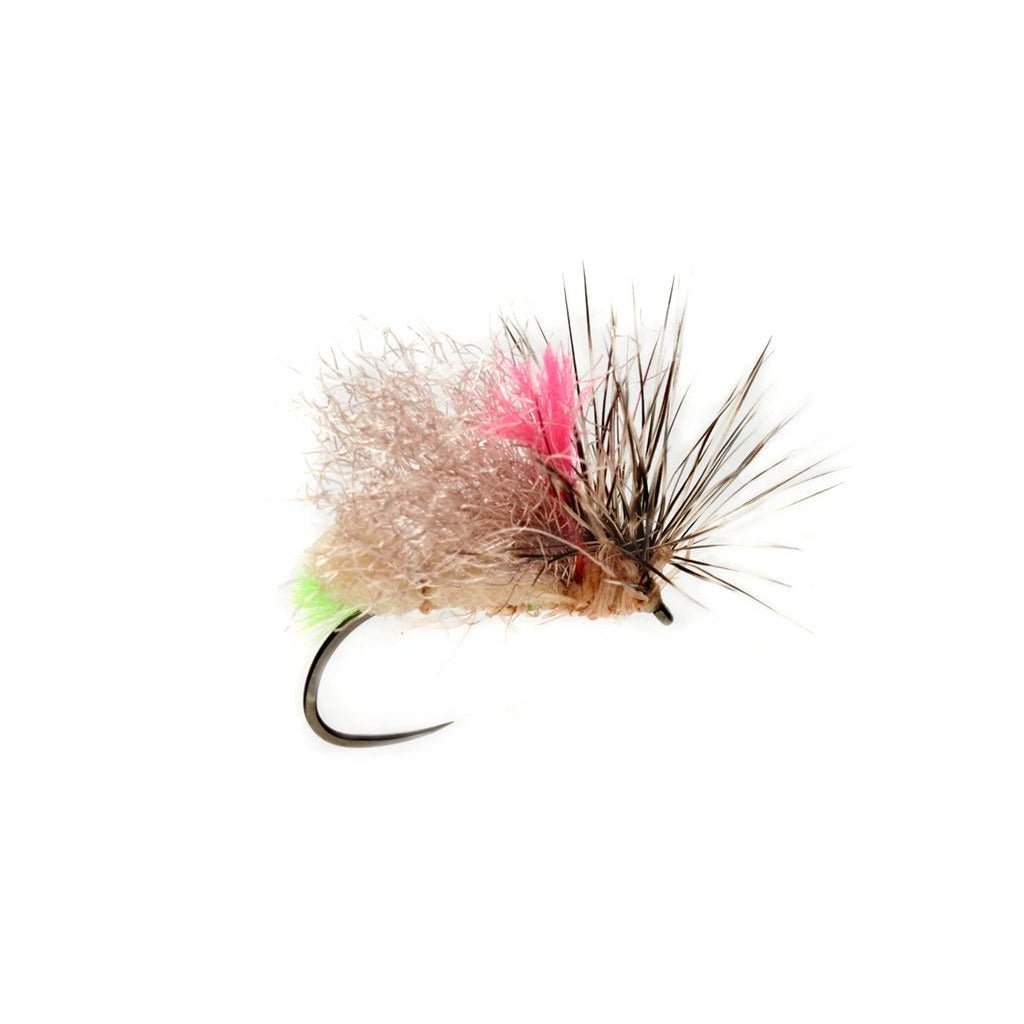 Olsen's Foam Front End Loader Caddis - Tan - Flies - Fly Fish Food