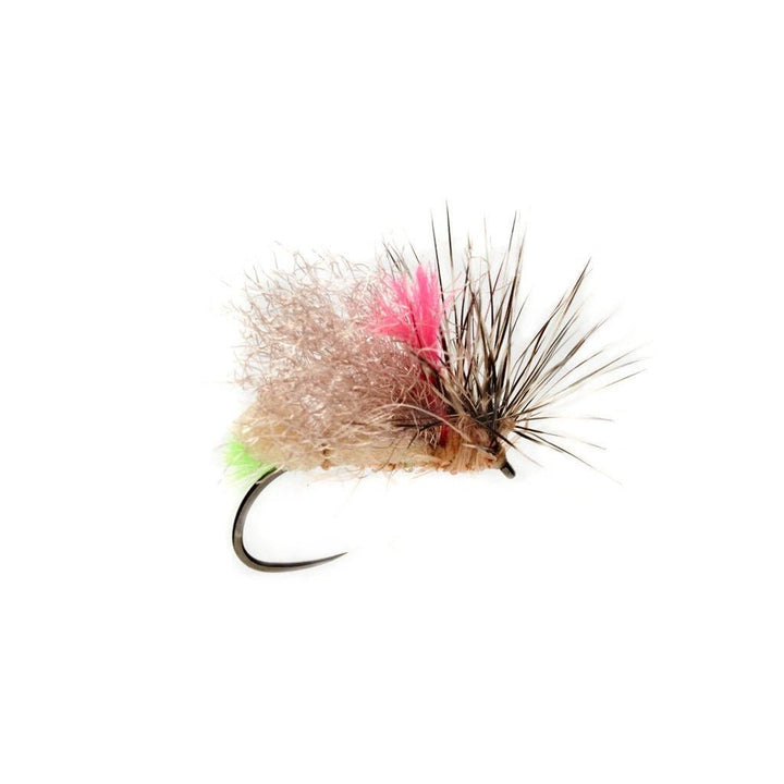 Olsen's Foam Front End Loader Caddis - Tan - Flies - Fly Fish Food