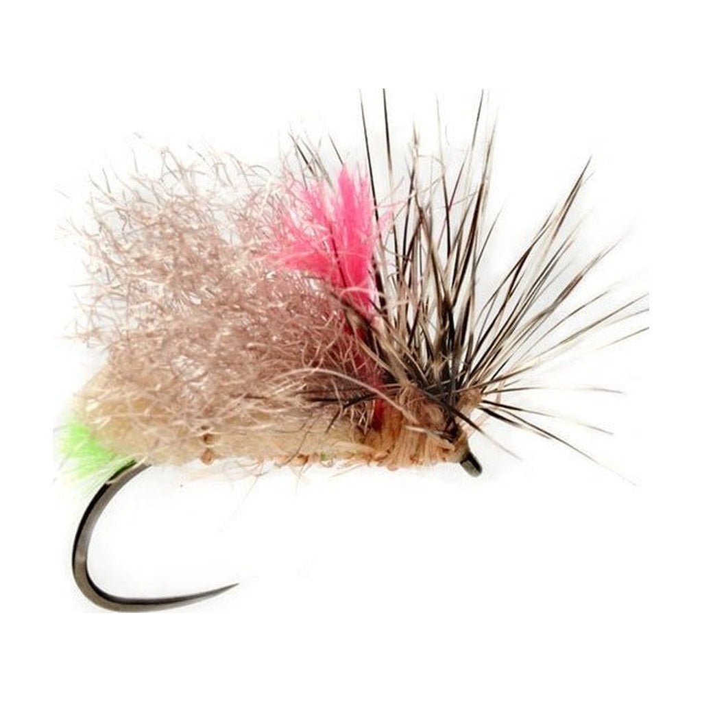Olsen's Foam Front End Loader Caddis - Tan - Flies - Fly Fish Food