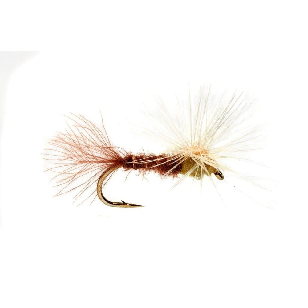 Keegan's Stacked PM Double D - Flies - Fly Fish Food