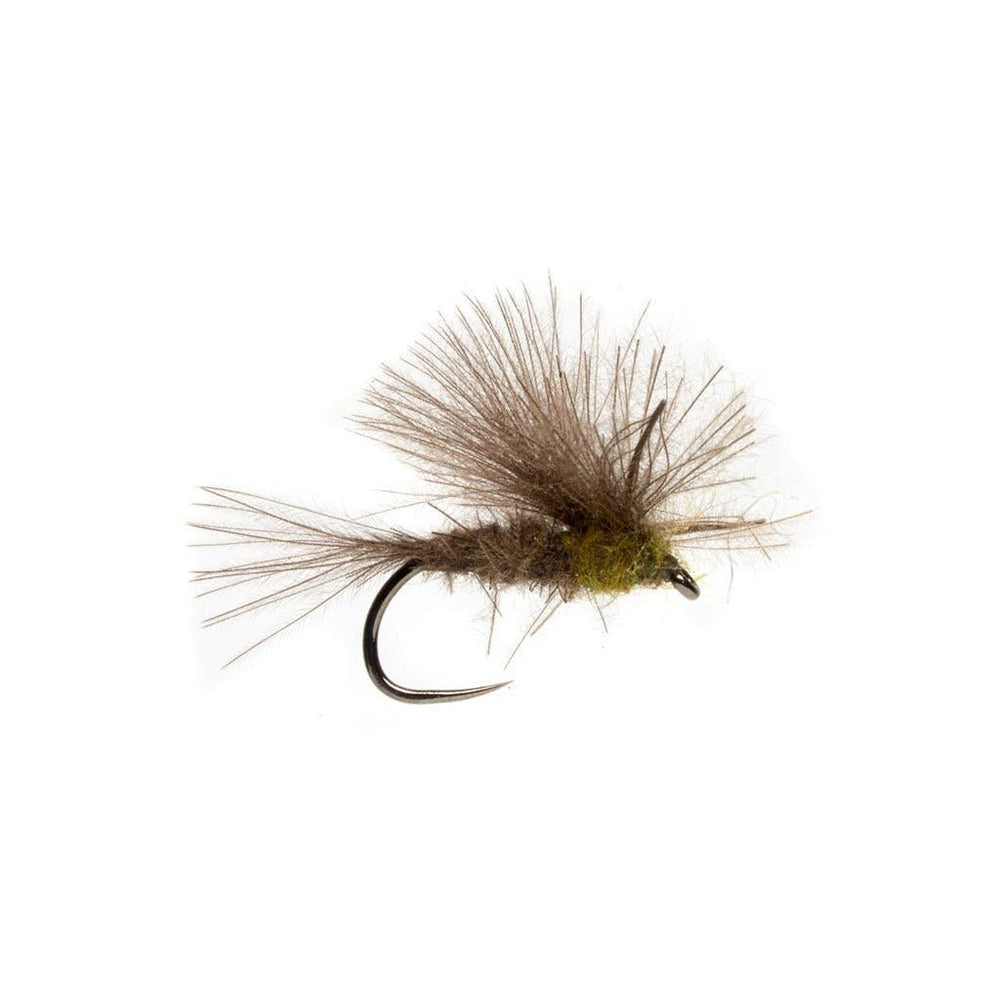 Elden's CDC BWO Emerger - Flies - Fly Fish Food