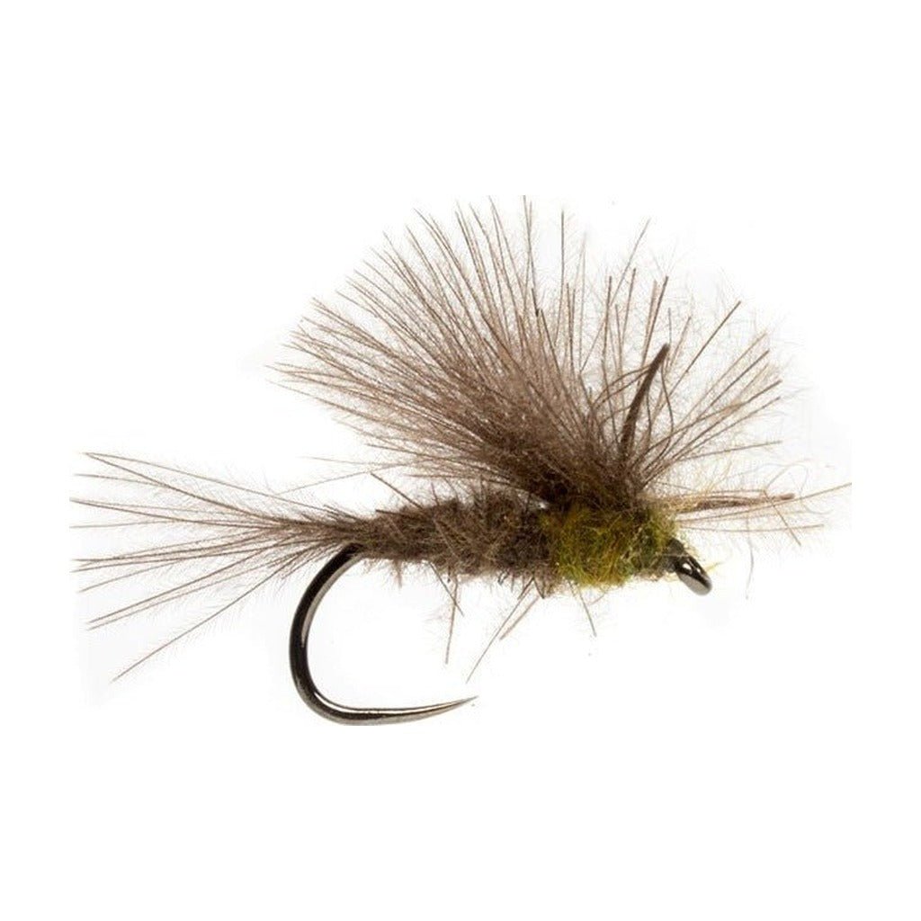 Elden's CDC BWO Emerger - Flies - Fly Fish Food
