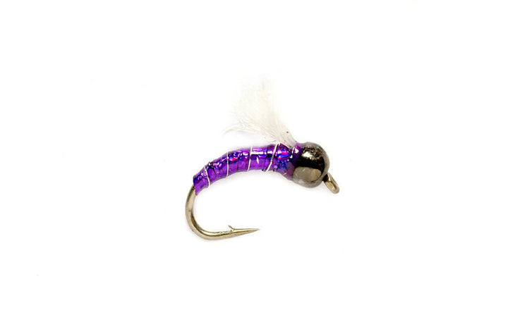 Lexi's Tungsten Holo - Z Midge - Purple - Flies - Fly Fish Food
