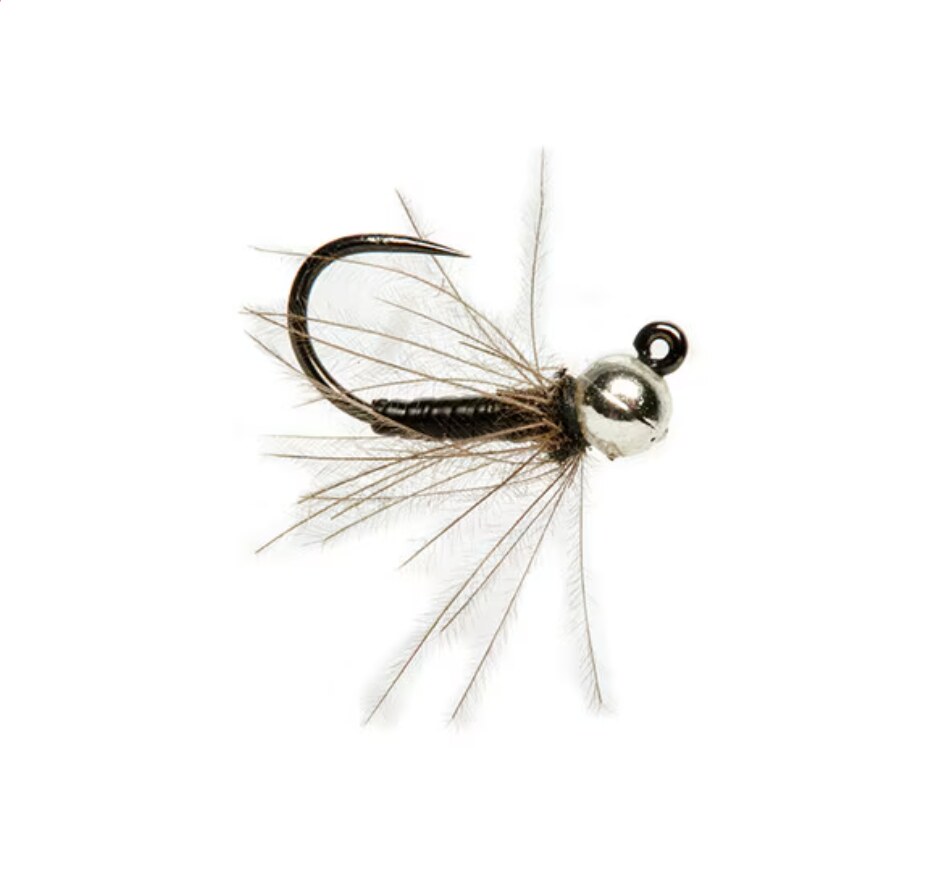 Team USA CDC France Fly Barbless