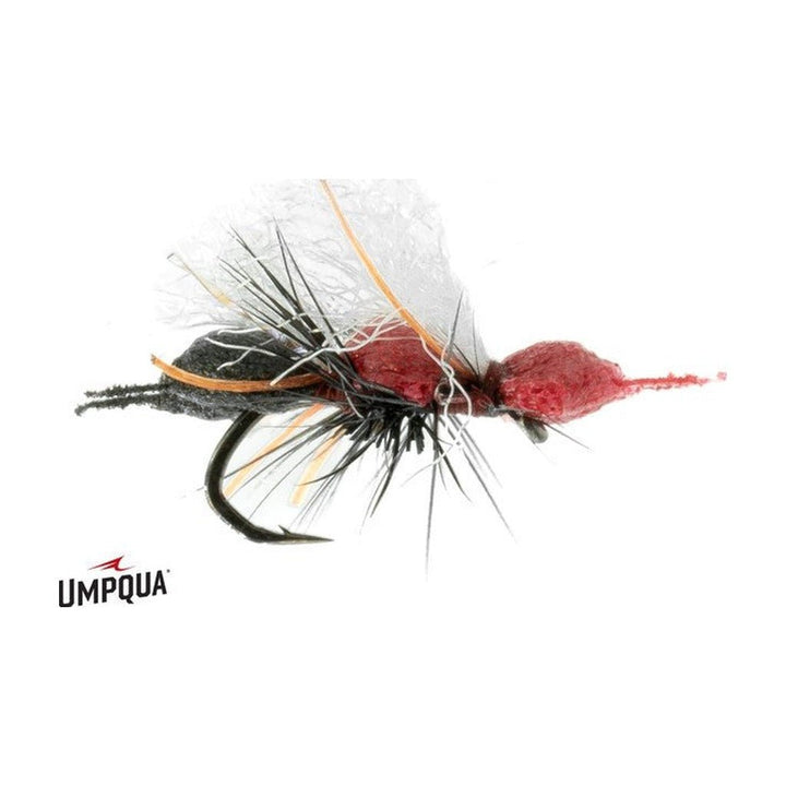 Chubby Cubby - Red/Black Butt - Flies - Fly Fish Food